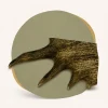 extra large deer antler chew