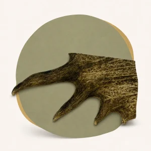 extra large deer antler chew