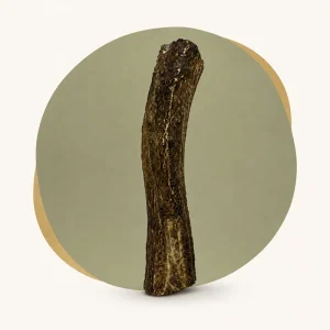 large split deer antler chew