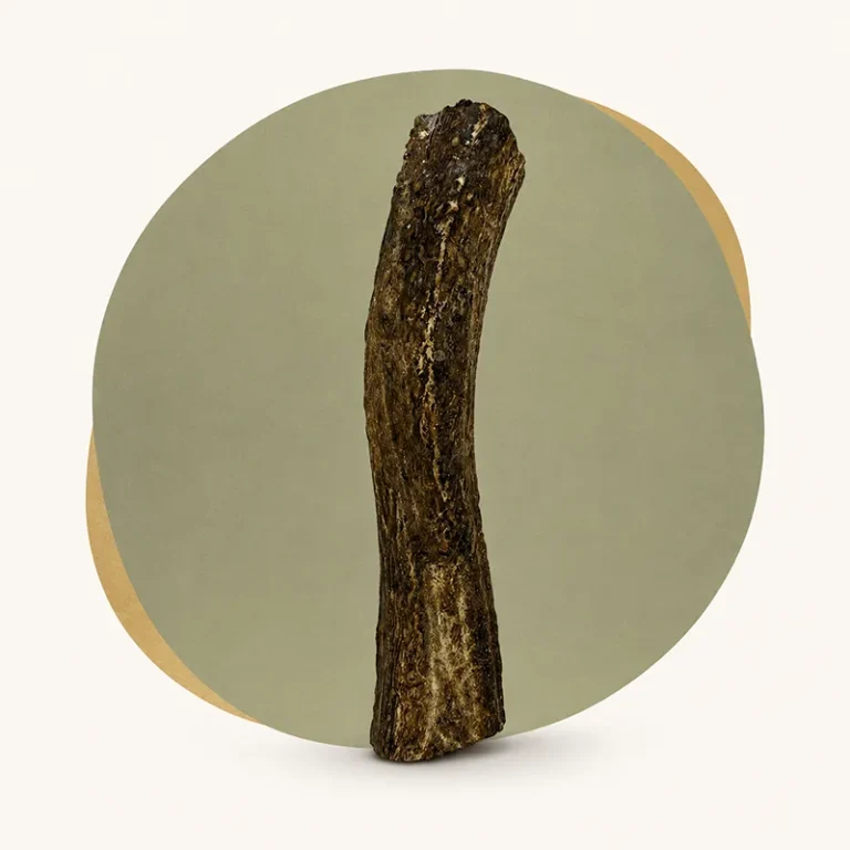 large split deer antler chew