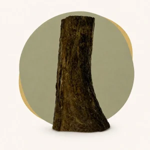 front on small split deer antler chew