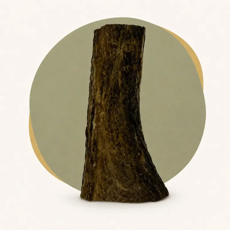 front on small split deer antler chew